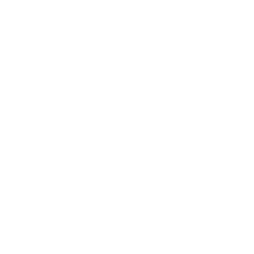 10+ Years Of Experience